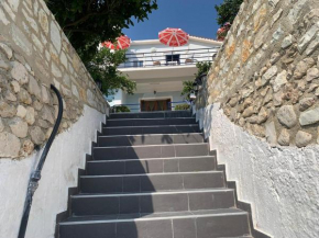 Sophia's rent apartament